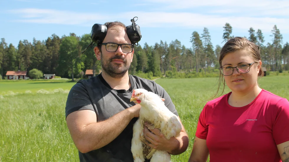 Fredrik Pihl och Lovisa Ferlin har fött upp kycklingar sedan 2019. Snart planeras ett bygge av ett eget slakteri på gården.