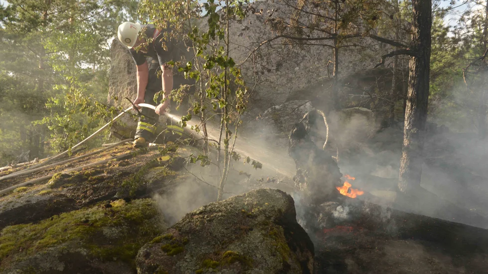 En skogsbrand bröt på fredagskvällen ut utanför Rimforsa.