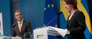 Nyttan kräver mer medel till fri grundforskning