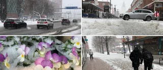 Våren kom av sig: Se när snöstormen drar fram över Skellefteå