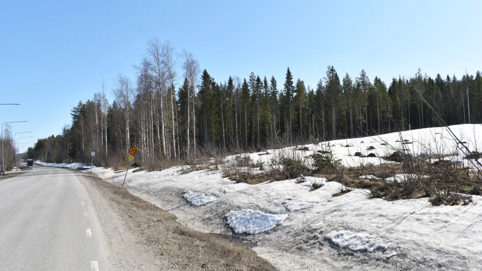 Uppe i denna backe, söder om Lantmannagatan, ska det bli ett stort område med flerbostadshus.