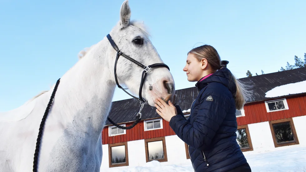 När Penny Wilén inte sysslar med musiken tillbringar hon mycket av sin lediga tid i stallet med hästen Jack. ”Han betyder jättemycket för mig”, säger hon. 
