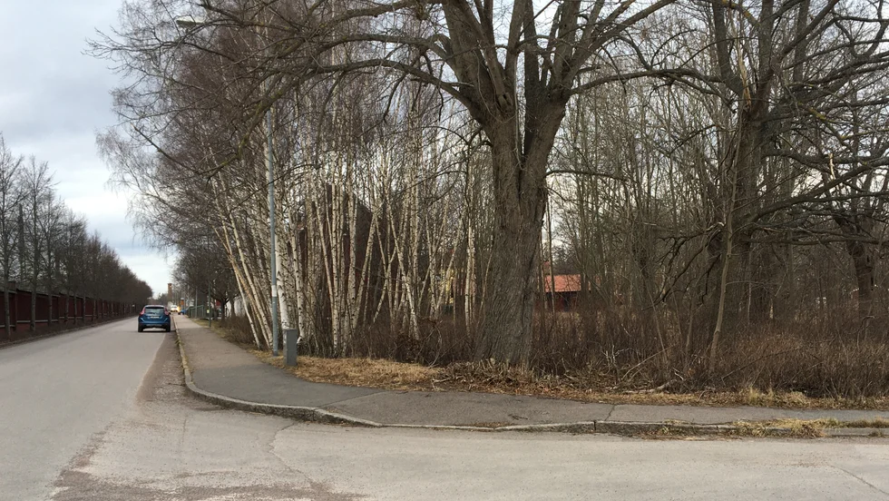 Kommunen har fått in bygglovsansökningar gällande 20 bostadsrätter på tomten längs Skolgårdagatan.