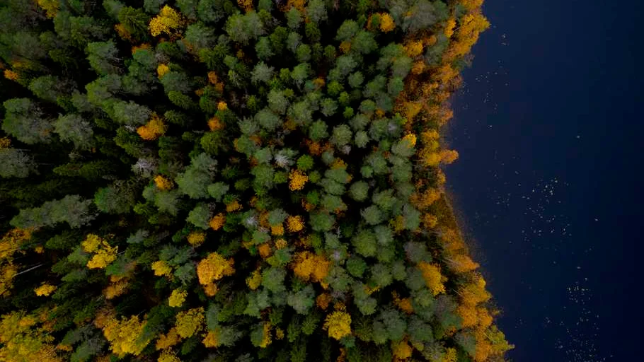 Ekoparken i Rosfors i Piteå kommun ska förses med nya skyltar och kartor.