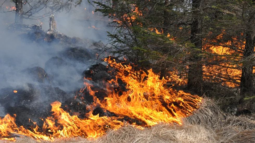 Det är stor risk för gräsbrand när solen har värmt upp det torra fjolårsgräset. Arkivbild.