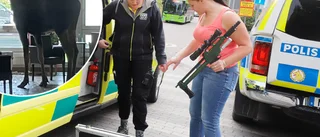 Veterinären om älgdramat på Mälarsjukhuset – och varför hon avlivade djuret: "Jag blev chockad"