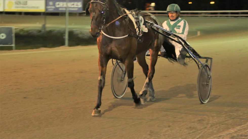 Bodenekipaget National Knight (Tommy Nyberg)blir den norra räjongens bidrag till amatör-SM på Åby. De vann uttagningsloppet på Skellefteåtravet före Greenwich (Henrik Näsvall)