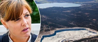 Cementa om nytt planerat naturreservat: "Dålig tajming"