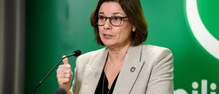 Lövin chefar för miljöstiftelse