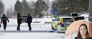 Åklagaren vill se stränga straff • Advokaten: "Han satt hemma och spelade Xbox"