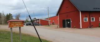 Ridklubbar får extra stöd: "Stod inför att tvingas sälja hästar"