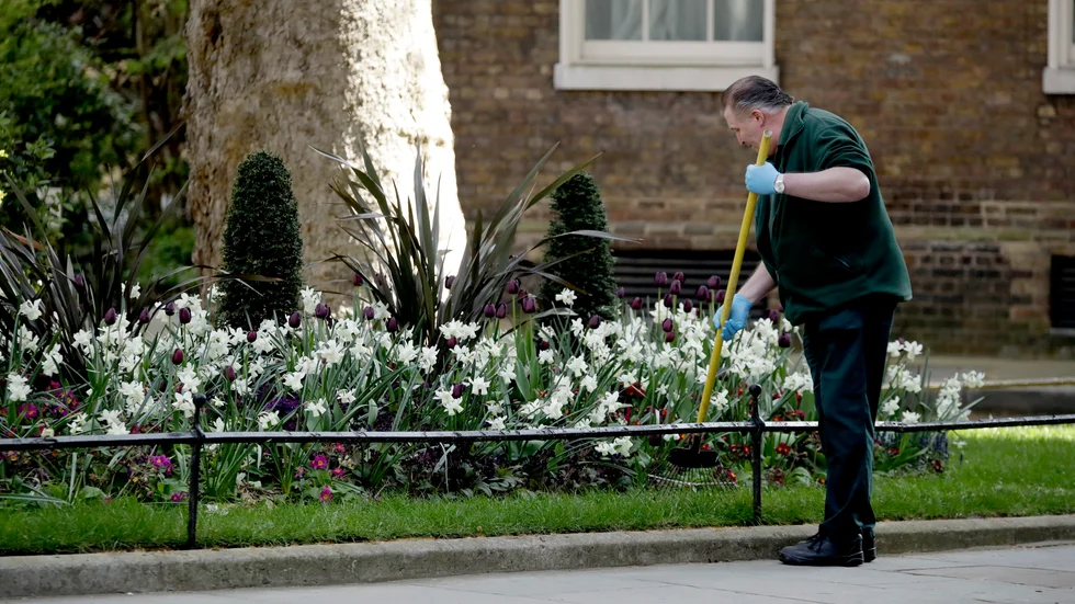 En trädgårdsmästare på Downing Street i London, där premiärministerns bostad ligger, i tisdags.