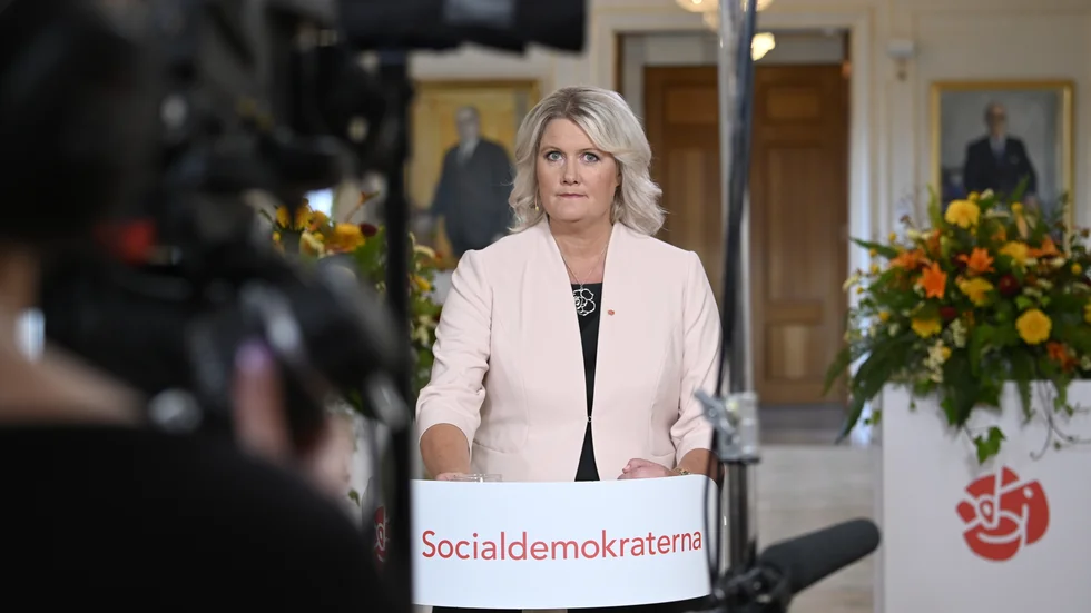 När Socialdemokraternas partisekreterare Lena Rådström Baastad höll Almedalstal var vinster i välfärden en av huvudfrågorna. 