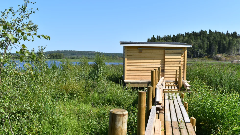 I sommar har det tillkommit ett nybyggt gömsle. Därifrån kan intresserade spana på fåglar.