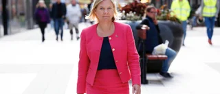 Klokt av finansministern att vilja sänka skatterna