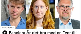 Migrationslagen på agendan i P1