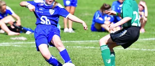 Klart: Det blir ingen Roslagscup i år heller