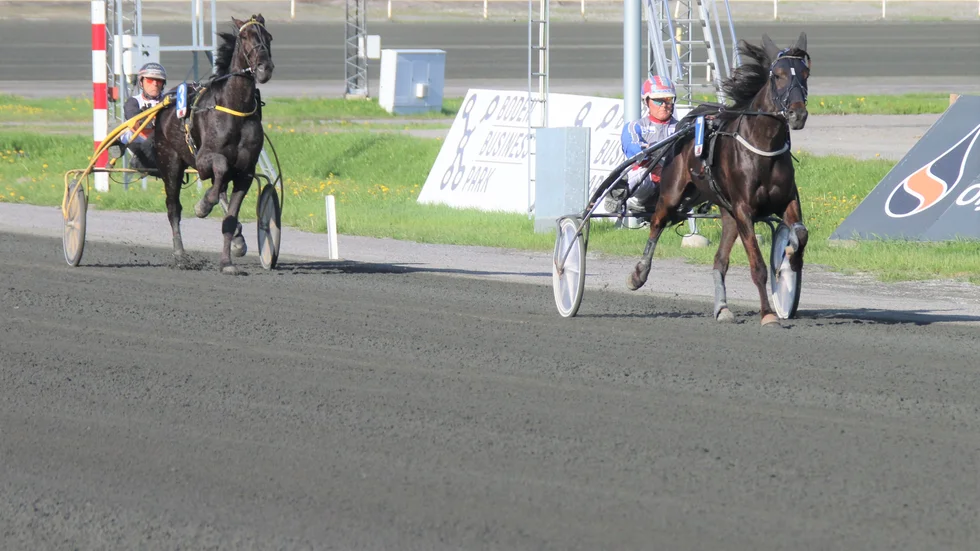 Mellby Java lunkade ifrån motståndet i överlägsen stil på debuttiden 16,5. Maybach W.F försökte hänga med. Övriga var långt efter.
