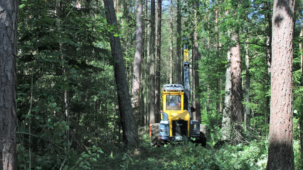 Under två veckor kommer kommunen genomföra en insats mot granbarkborren i Rydskogen.