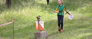 Samtliga resultat från Nyårslöpet i Ankarsrum