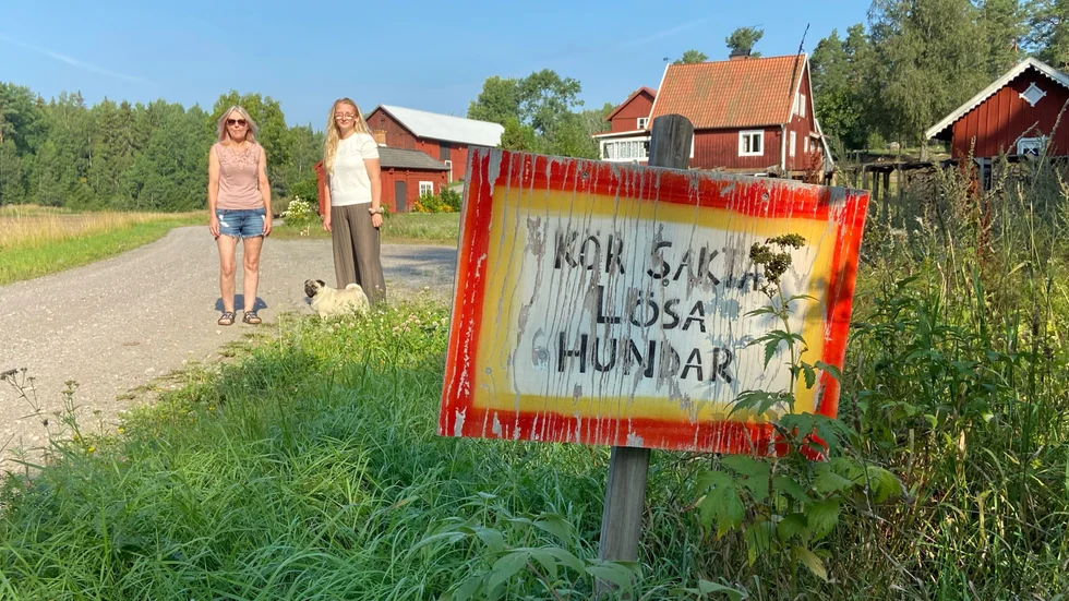 Nog har familjen reagerat på att en del kör fort på grusvägen nedanför gården – men aldrig tidigare har en så allvarlig incident som den i tisdags inträffat. Då skadades hunden Happy så svårt att hon var tvungen att avlivas, berättar Katarina Andersson och Rebecka Johansson. 