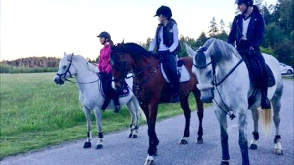 Från vänster: Julia Lindkvist på sjuka hästen Dahlåkras Ballerina, My Lavio på Wittek, hästen som troligen kom med kvarkan och Tess Helin på också kvarkasjuka Forever Loved Månstrimma.