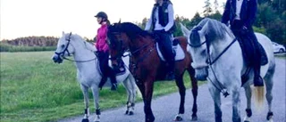 Hästkvarka lamslår gård
