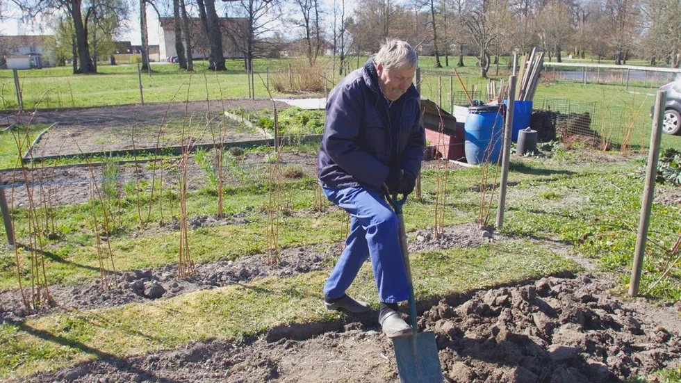 Jan Ridell är en hängiven kolonilottsodlare och så gott som dagligen syns han och fru Evy Ridell ute vid sin kolonilott i Slottsparken. Ridell är kassör i Slottsparkens odlarförening. Han berättar at det finns lediga kolonilotter och det är först till kvarn som gäller.