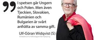 Debattkrönika: ”EU mellan patriotism och nationalism”