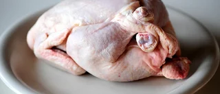 Grönt ljus för kycklingfarm