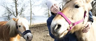 Falck gör ett riktigt hästjobb