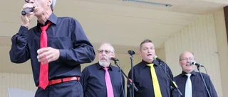 Det svänger i Stadsparken