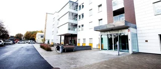 Köerna borta till vård- och omsorgsboenden