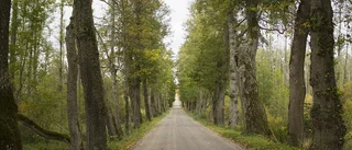 Sörmlands vackra vägar