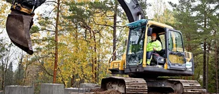Katrineholmarna bygger bo åt Bamse