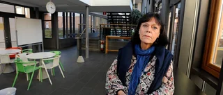 Kameraövervakning kan stoppa stölder på skola