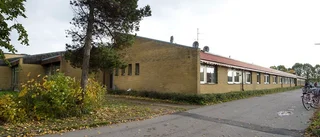Mögel och bakterier i Tessinskolan