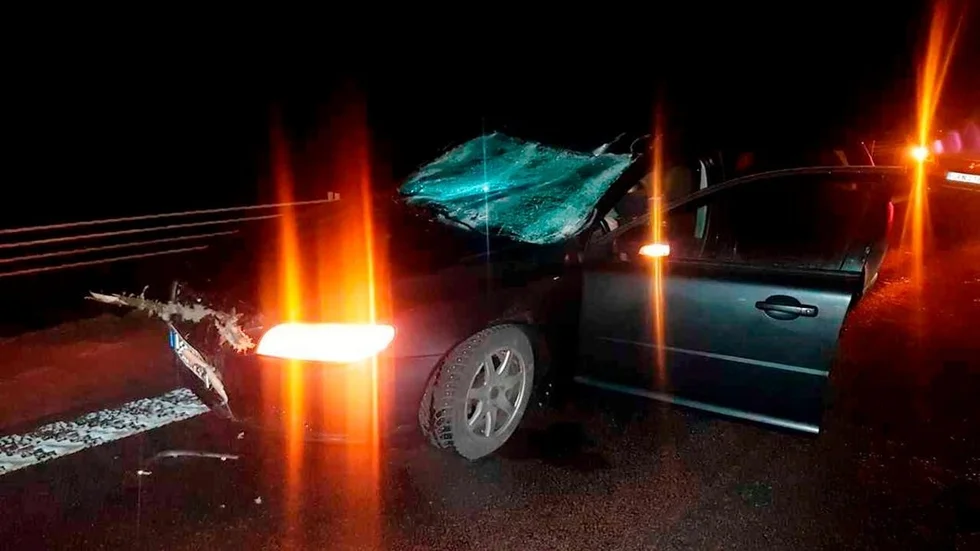 Framrutan och taket trycktes in på Andreas Johanssons bil när han kolliderade med ett nerfallet träd på E 20 i tisdags i förra veckan. Nu har viltstängslet och räcket på platsen återställts efter olyckan.