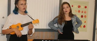 Uppskattad sommarorkester på turné