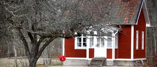 Möllers lögner mot barnen – anklagar dem för mord och sexskandal