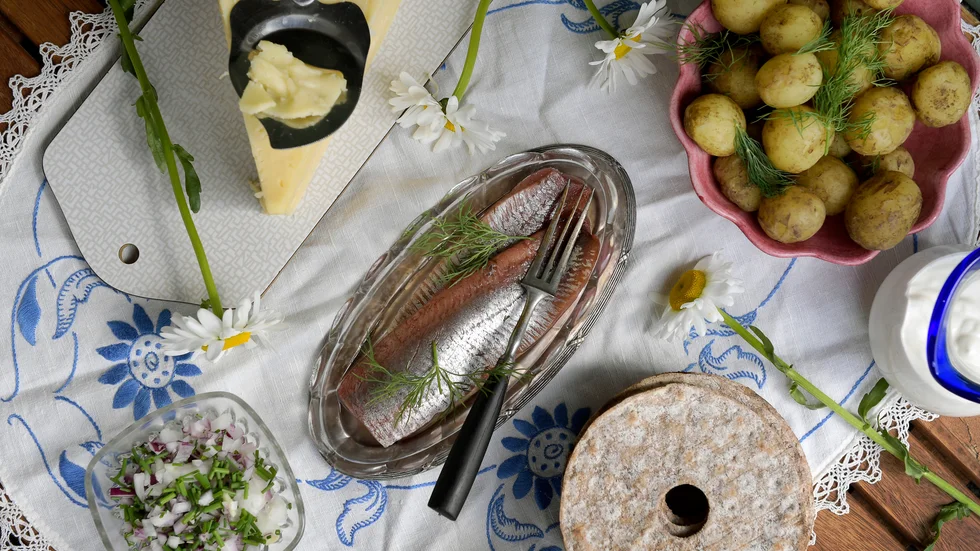 De allra flesta av oss kommer att på något sätt komma i närkontakt med en sill på midsommarafton. Du kan gilla denna fisk eller avsky den, oavsett vad är var sillen länge en förutsättning för att människor i Sverige skulle överleva. 