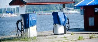 En gästhamn behöver en entreprenör