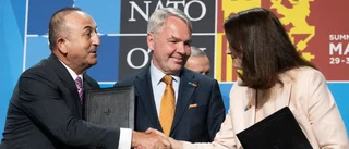 Ett steg närmare Nato, men fortfarande återstår mycket