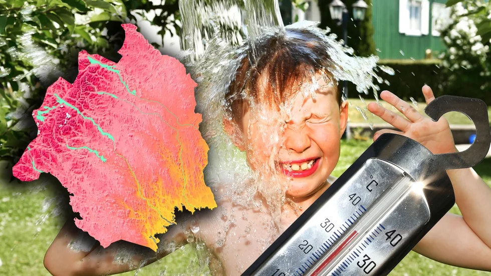 Dela era bilder här