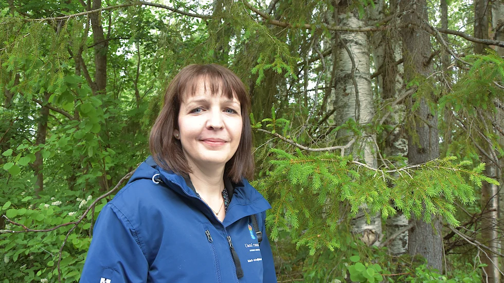 Katarina Brodin, chefsrådman vid mark- och miljödomstolen i Umeå.