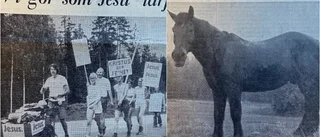 De vandrar för att sprida evangelium
