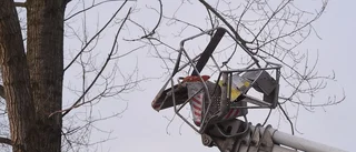 Fastklämd i skylift – skadade benet
