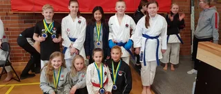 Medaljregn för Eskilstuna Karateklubb