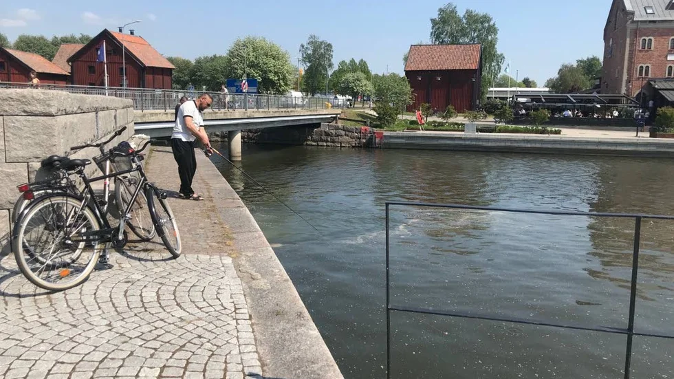 Forskning kan konstatera  att

övergödning, genom ökad grumling av vattnet och påväxt av trådformiga alger, har en negativ påverkan på bottenv

egetationen och då även på fisk.
