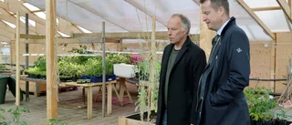 Soligt när Ygeman tog en tur i parken
